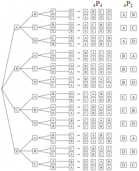4P4 と 4P2 の樹形図