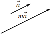 1の図